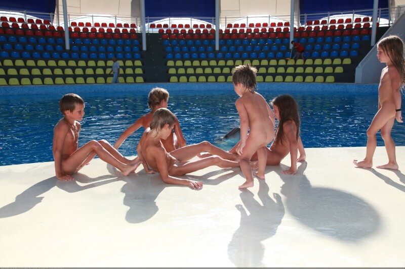 Swimming dolphins photo gallery - Connoisseurs of naturism choose nature