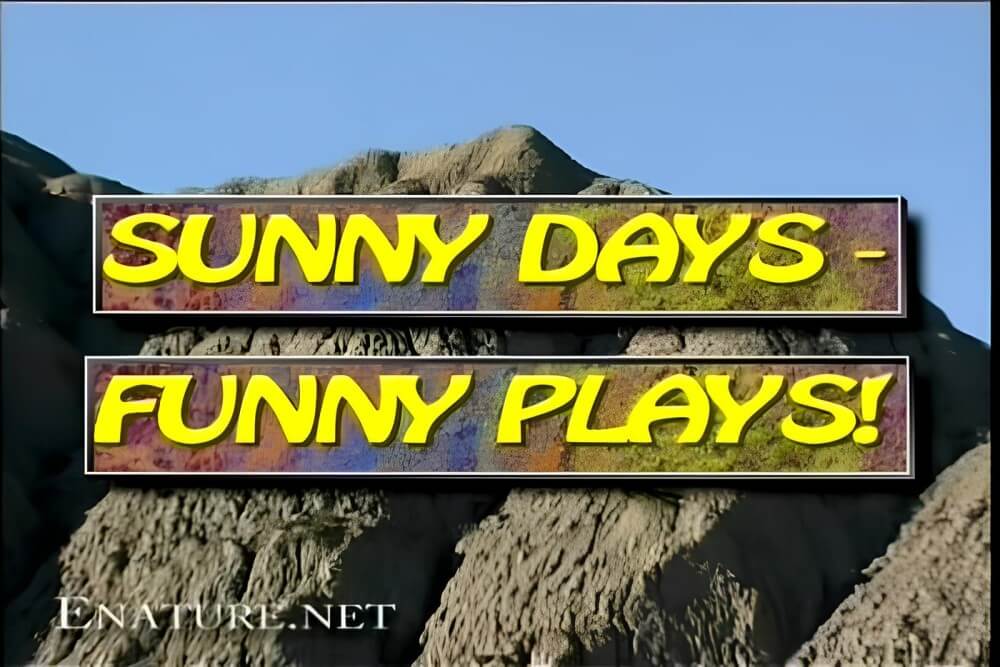 Enature - Sunny Days – Funny Plays - Nature provides the energy and strength for life, and well simply be naked