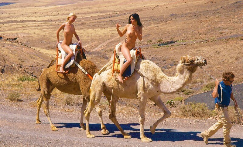 Funny Moments Life pics - Melting under the scorching sun, I sunbathe naked