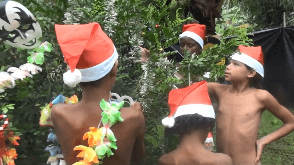 Brazil Festival Celebrations 1 Full HD - Nudism and Respect for Nature and the Environment